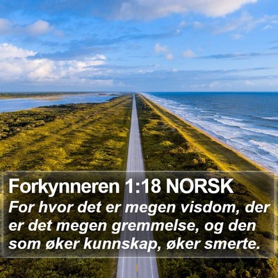 Forkynneren 1:18 NORSK Bible Verse Image