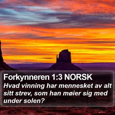 Forkynneren 1:3 NORSK Bible Verse Image