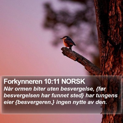 Forkynneren 10:11 NORSK Bible Verse Image
