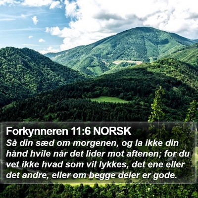Forkynneren 11:6 NORSK Bible Verse Image