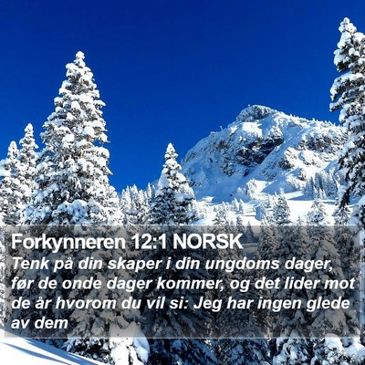 Forkynneren 12:1 NORSK Bible Verse Image