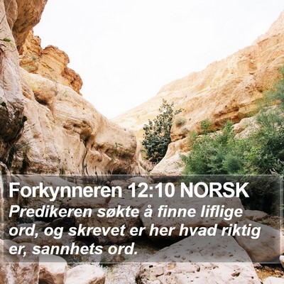 Forkynneren 12:10 NORSK Bible Verse Image