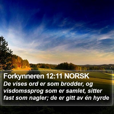 Forkynneren 12:11 NORSK Bible Verse Image