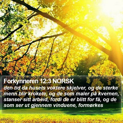 Forkynneren 12:3 NORSK Bible Verse Image