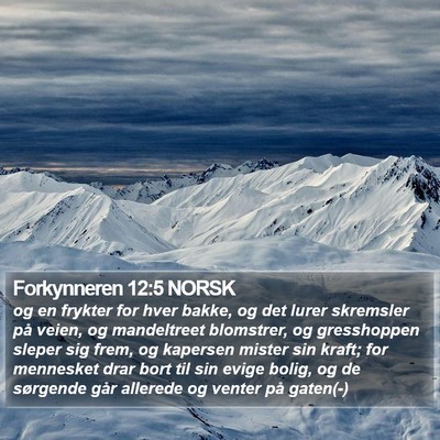 Forkynneren 12:5 NORSK Bible Verse Image