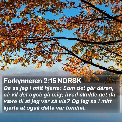 Forkynneren 2:15 NORSK Bible Verse Image