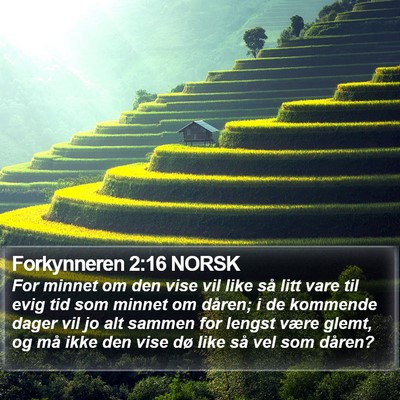Forkynneren 2:16 NORSK Bible Verse Image