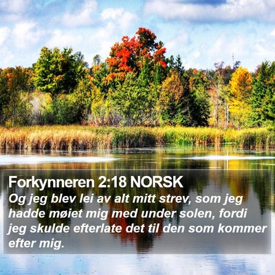 Forkynneren 2:18 NORSK Bible Verse Image