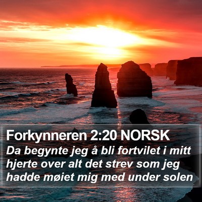 Forkynneren 2:20 NORSK Bible Verse Image