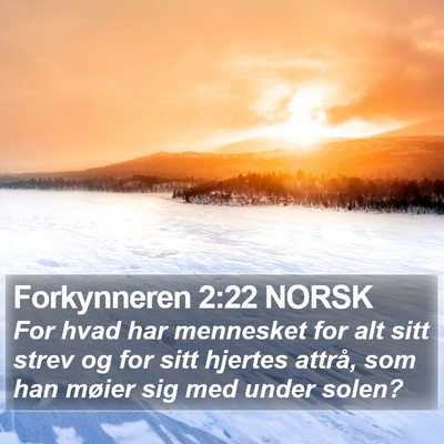 Forkynneren 2:22 NORSK Bible Verse Image