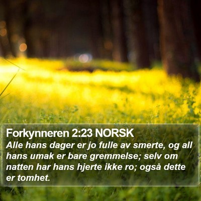 Forkynneren 2:23 NORSK Bible Verse Image