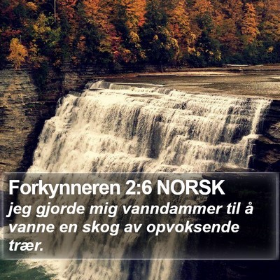 Forkynneren 2:6 NORSK Bible Verse Image