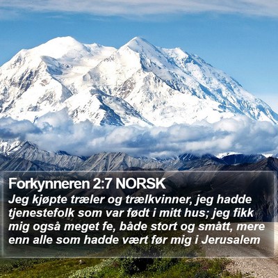 Forkynneren 2:7 NORSK Bible Verse Image