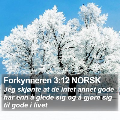 Forkynneren 3:12 NORSK Bible Verse Image