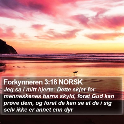Forkynneren 3:18 NORSK Bible Verse Image