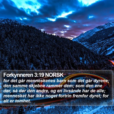 Forkynneren 3:19 NORSK Bible Verse Image
