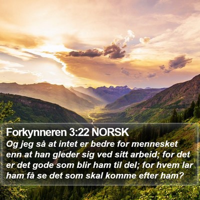 Forkynneren 3:22 NORSK Bible Verse Image