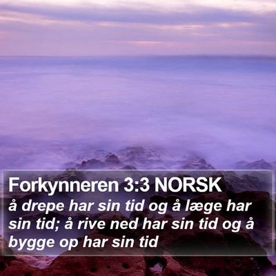 Forkynneren 3:3 NORSK Bible Verse Image