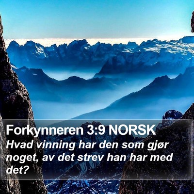 Forkynneren 3:9 NORSK Bible Verse Image