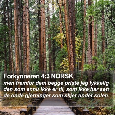 Forkynneren 4:3 NORSK Bible Verse Image