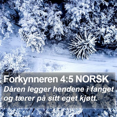 Forkynneren 4:5 NORSK Bible Verse Image