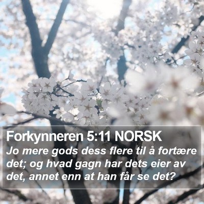 Forkynneren 5:11 NORSK Bible Verse Image