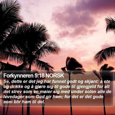 Forkynneren 5:18 NORSK Bible Verse Image