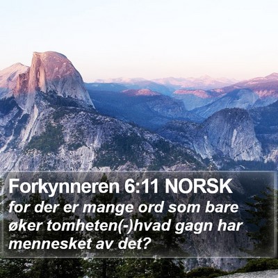Forkynneren 6:11 NORSK Bible Verse Image