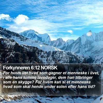 Forkynneren 6:12 NORSK Bible Verse Image