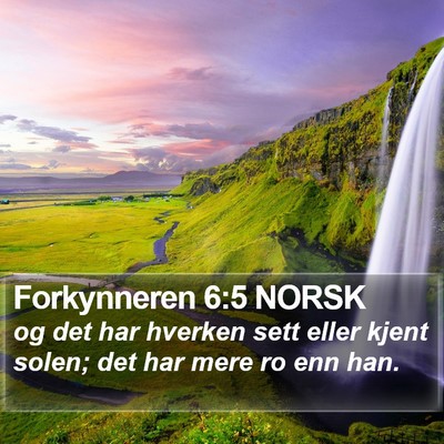 Forkynneren 6:5 NORSK Bible Verse Image