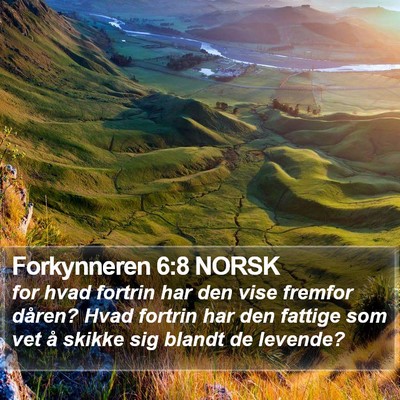 Forkynneren 6:8 NORSK Bible Verse Image