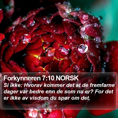 Forkynneren 7:10 NORSK Bible Verse Image