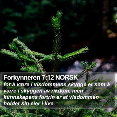 Forkynneren 7:12 NORSK Bible Verse Image