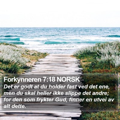 Forkynneren 7:18 NORSK Bible Verse Image