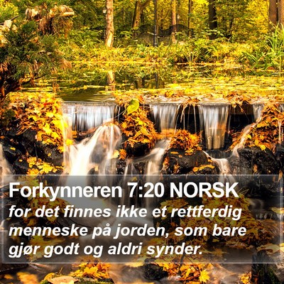 Forkynneren 7:20 NORSK Bible Verse Image