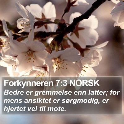 Forkynneren 7:3 NORSK Bible Verse Image