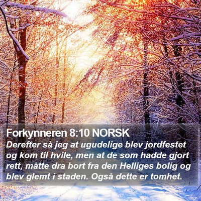 Forkynneren 8:10 NORSK Bible Verse Image