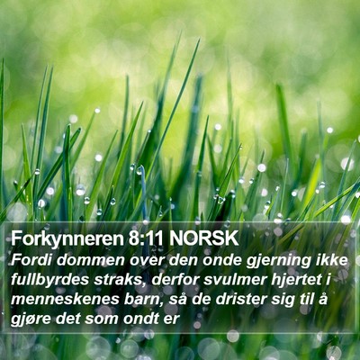 Forkynneren 8:11 NORSK Bible Verse Image