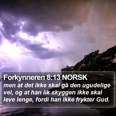 Forkynneren 8:13 NORSK Bible Verse Image