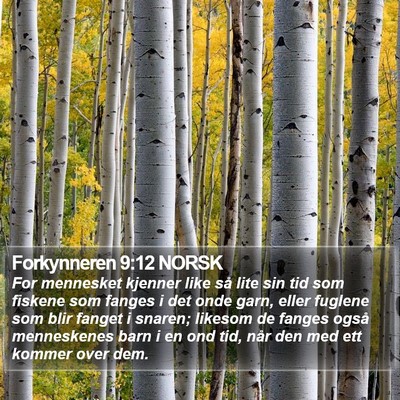 Forkynneren 9:12 NORSK Bible Verse Image