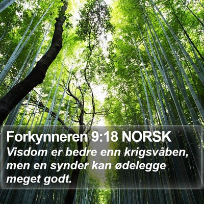 Forkynneren 9:18 NORSK Bible Verse Image