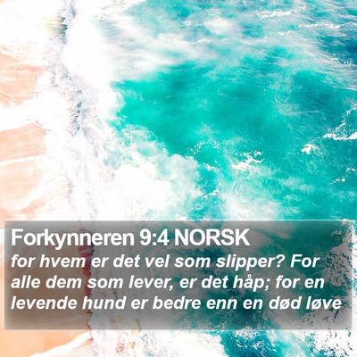 Forkynneren 9:4 NORSK Bible Verse Image