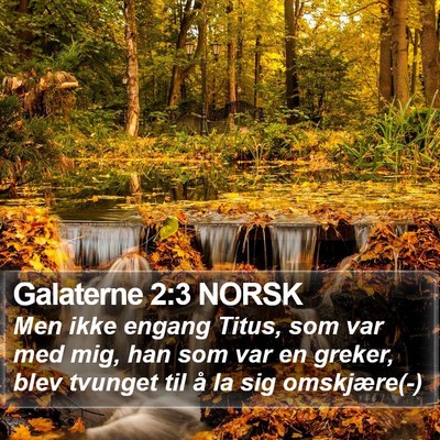 Galaterne 2:3 NORSK Bible Verse Image