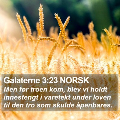 Galaterne 3:23 NORSK Bible Verse Image