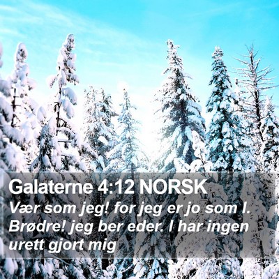 Galaterne 4:12 NORSK Bible Verse Image