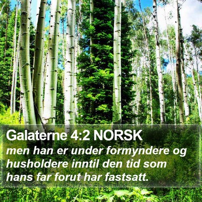 Galaterne 4:2 NORSK Bible Verse Image