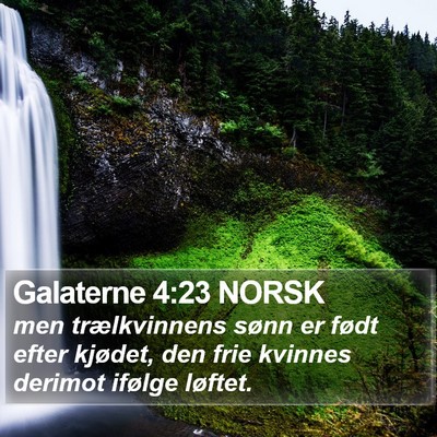 Galaterne 4:23 NORSK Bible Verse Image