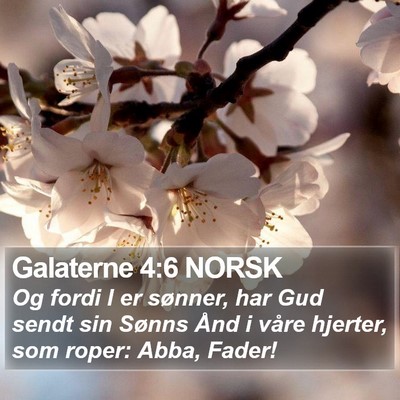 Galaterne 4:6 NORSK Bible Verse Image