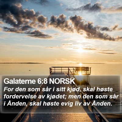 Galaterne 6:8 NORSK Bible Verse Image