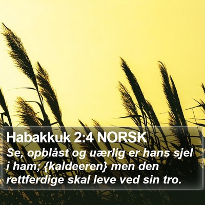 Habakkuk 2:4 NORSK Bible Verse Image